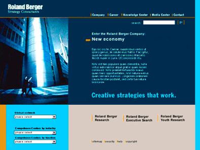 roland berger, entwurf für popnet/grey/meta design